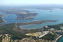 lemon tree passage port stephens australia